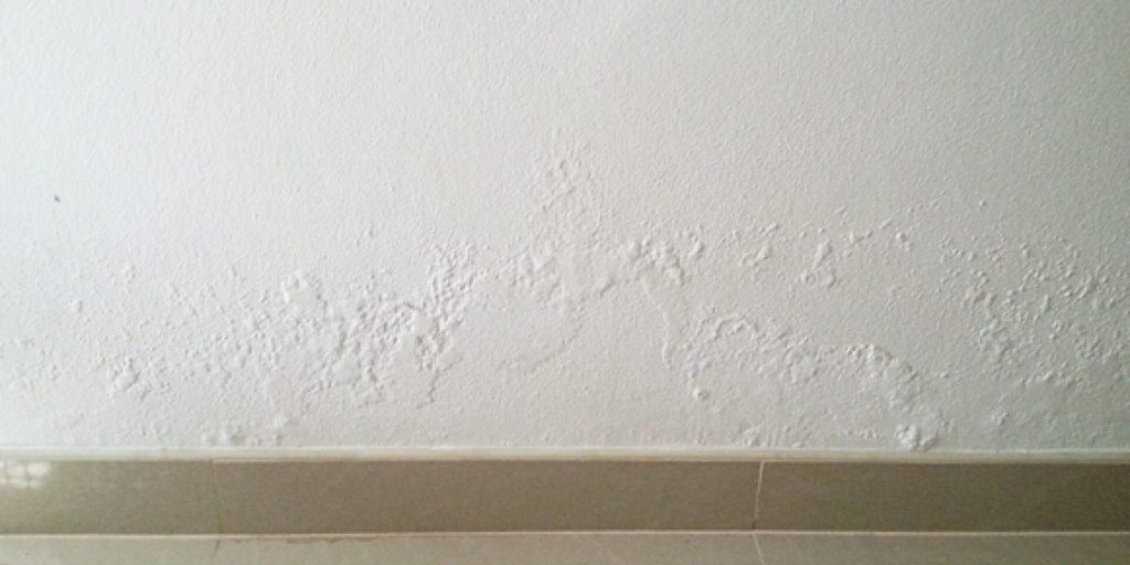 Vocht in muren veroorzaakt vochtvlekken en schimmelgroei. Leer hoe je dit herken en aanpakt.